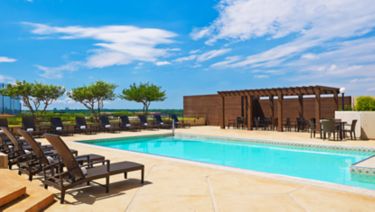 swimming pool with deck chairs and two palm trees